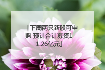 下周两只新股可申购 预计合计募资11.26亿元