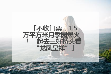 不收门票，1.5万平方米月季园爆火！一起去三好桥头看“龙凤呈祥”