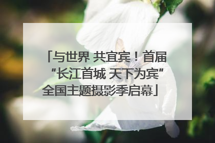 与世界 共宜宾！首届“长江首城 天下为宾”全国主题摄影季启幕