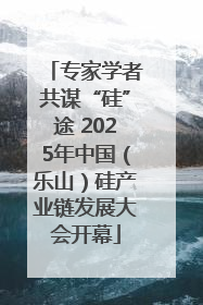专家学者共谋“硅”途 2025年中国（乐山）硅产业链发展大会开幕