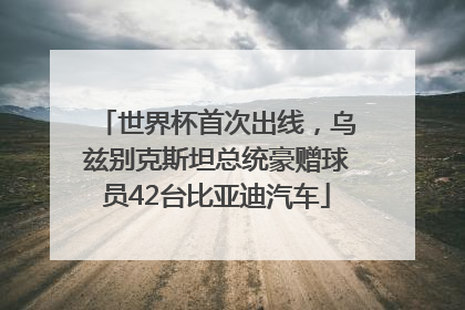 世界杯首次出线，乌兹别克斯坦总统豪赠球员42台比亚迪汽车