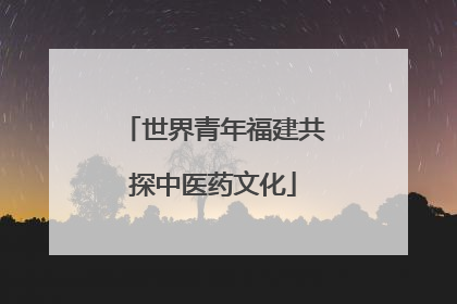 世界青年福建共探中医药文化