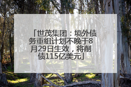 世茂集团：境外债务重组计划不晚于8月29日生效，将削债115亿美元