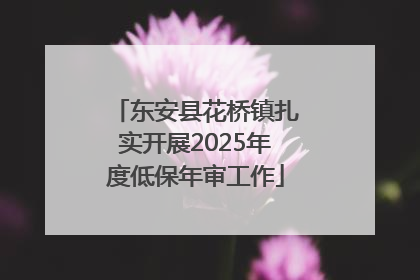 东安县花桥镇扎实开展2025年度低保年审工作