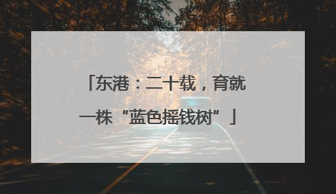 东港：二十载，育就一株“蓝色摇钱树”