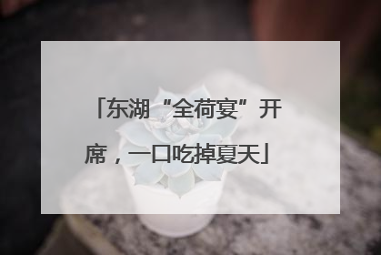 东湖“全荷宴”开席，一口吃掉夏天