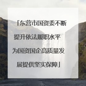 东营市国资委不断提升依法履职水平 为国资国企高质量发展提供坚实保障