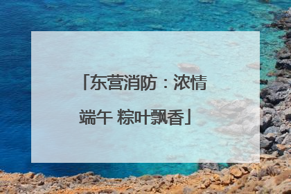 东营消防：浓情端午 粽叶飘香