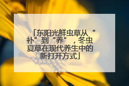 东阳光鲜虫草从“补”到“养”，冬虫夏草在现代养生中的新打开方式