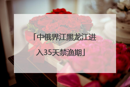 中俄界江黑龙江进入35天禁渔期