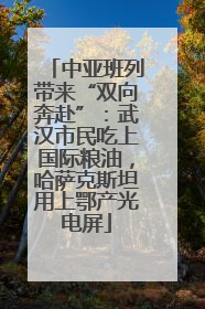中亚班列带来“双向奔赴”：武汉市民吃上国际粮油，哈萨克斯坦用上鄂产光电屏