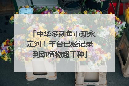 中华多刺鱼重现永定河！丰台已经记录到动植物超千种