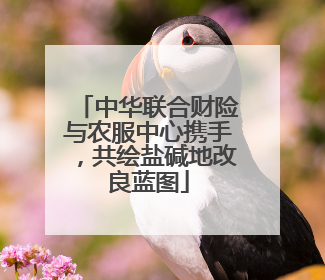 中华联合财险与农服中心携手，共绘盐碱地改良蓝图