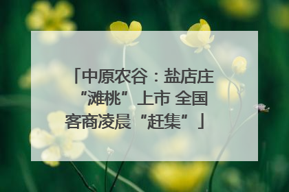 中原农谷：盐店庄“滩桃”上市 全国客商凌晨“赶集”