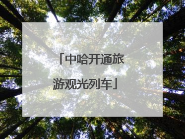中哈开通旅游观光列车