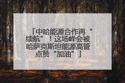 中哈能源合作再“续航”！这场峰会被哈萨克斯坦能源高管点赞“加油”