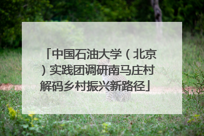 中国石油大学（北京）实践团调研南马庄村解码乡村振兴新路径
