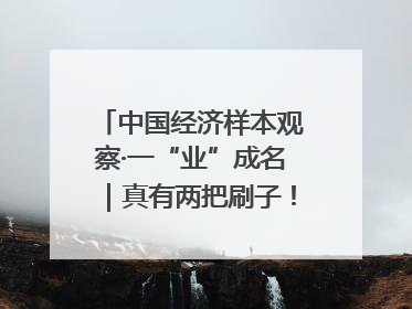 中国经济样本观察·一“业”成名｜真有两把刷子！“刷”出30亿级“颜值经济”
