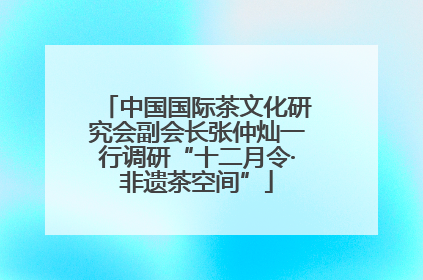 中国国际茶文化研究会副会长张仲灿一行调研“十二月令·非遗茶空间”