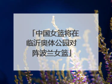 中国女篮将在临沂奥体公园对阵波兰女篮