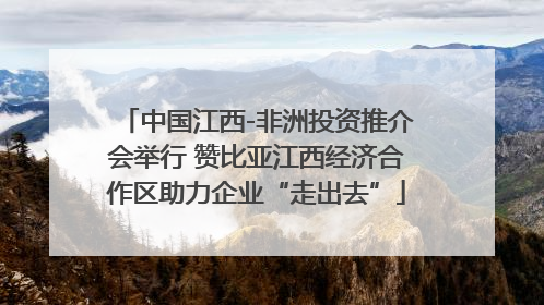 中国江西-非洲投资推介会举行 赞比亚江西经济合作区助力企业“走出去”
