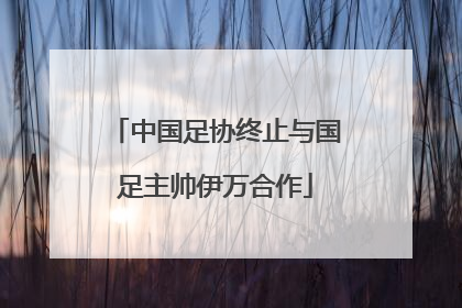 中国足协终止与国足主帅伊万合作