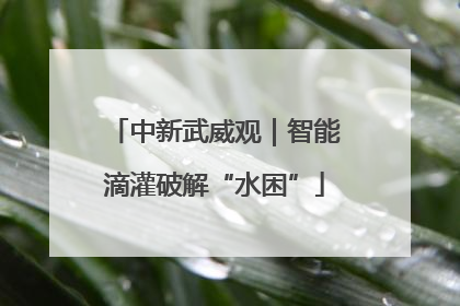 中新武威观｜智能滴灌破解“水困”
