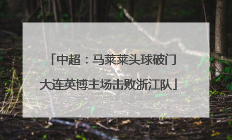 中超：马莱莱头球破门 大连英博主场击败浙江队