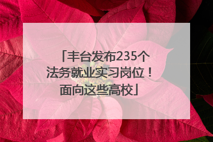 丰台发布235个法务就业实习岗位！面向这些高校