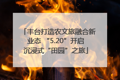 丰台打造农文旅融合新业态 “5.20”开启沉浸式“田园”之旅