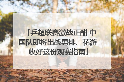 乒超联赛激战正酣 中国队即将出战男排、花游 收好这份观赛指南