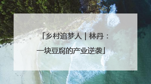 乡村追梦人｜林丹：一块豆腐的产业逆袭