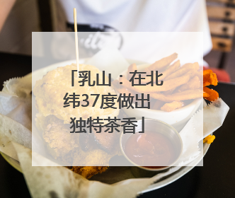 乳山：在北纬37度做出独特茶香