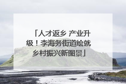 人才返乡 产业升级！李海务街道绘就乡村振兴新图景