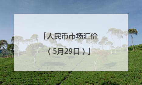 人民币市场汇价（5月29日）