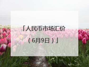 人民币市场汇价（6月9日）