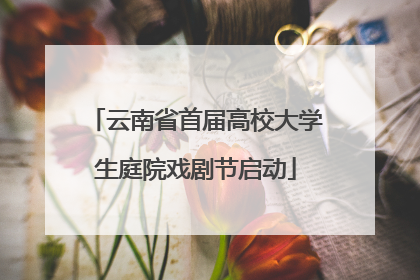 云南省首届高校大学生庭院戏剧节启动