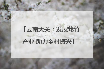 云南大关：发展筇竹产业 助力乡村振兴