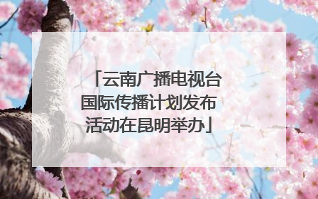 云南广播电视台国际传播计划发布活动在昆明举办