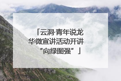 云洞·青年说龙华微宣讲活动开讲“向绿图强”