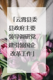 云霄县委县政府主要领导调研党建引领国企改革工作