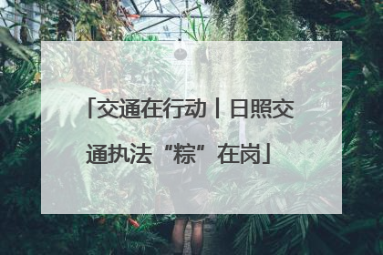 交通在行动丨日照交通执法“粽”在岗