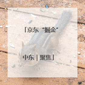 京东“掘金”中东｜聚焦