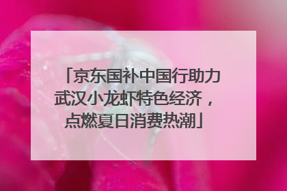 京东国补中国行助力武汉小龙虾特色经济，点燃夏日消费热潮