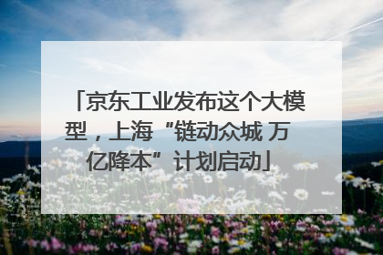 京东工业发布这个大模型，上海“链动众城 万亿降本”计划启动