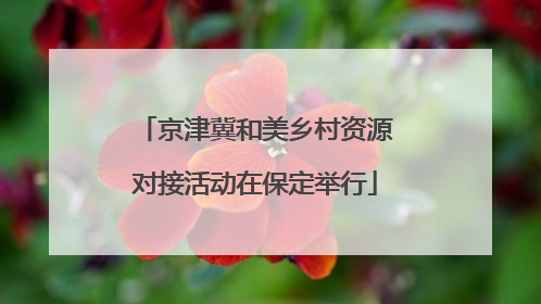 京津冀和美乡村资源对接活动在保定举行