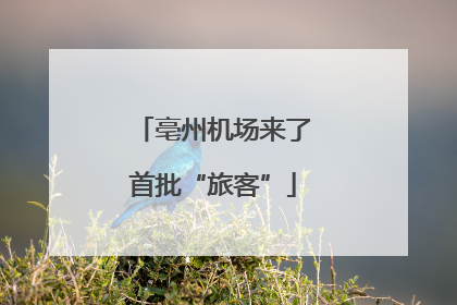 亳州机场来了首批“旅客”