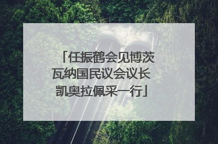 任振鹤会见博茨瓦纳国民议会议长凯奥拉佩采一行