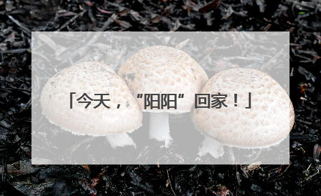 今天，“阳阳”回家！