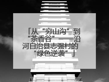 从“穷山沟”到“茶香谷”——沿河自治县志强村的“绿色逆袭”